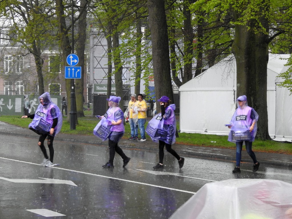 ../Images/Bevrijdingspop Haarlem 003.jpg